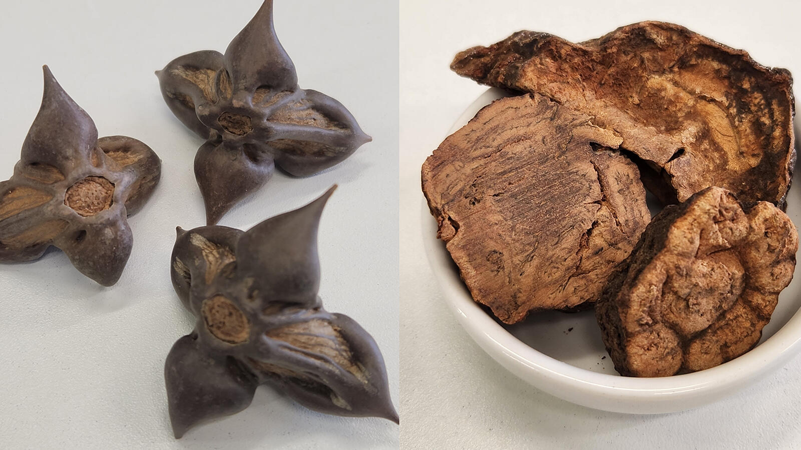 第132回　漢方処方解説（75）当帰飲子