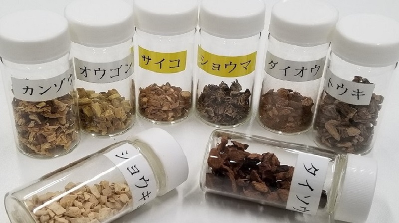 第85回 漢方処方解説(43)乙字湯